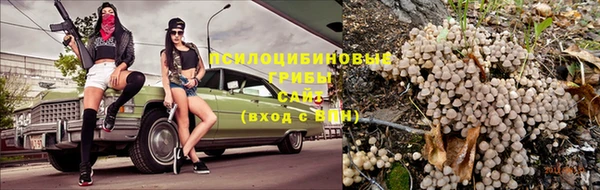 ECSTASY Алексеевка